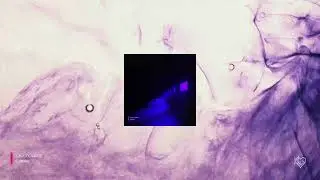 LAVA J x SANTE - Contraluz (visualizer)