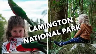 The best hiking on the Gold Coast | Lamington National Park | TRAVEL FAMILY VLOG