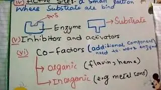 Enzymes / Inhabitors & Activators / Co Factos Biolgy lecture