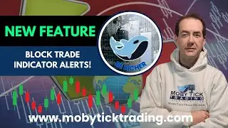 🛠️ NEW FEATURE SPOTLIGHT: Moby's Block Trade Indicator (BTI) ALERTS!!
