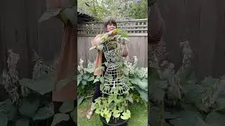 Trellising Hacks and Tips for Maximizing Your Garden Space