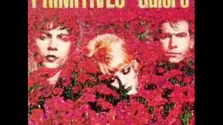 The Primitives 