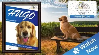 Pet Portrait Certificates | By Central Animal Records