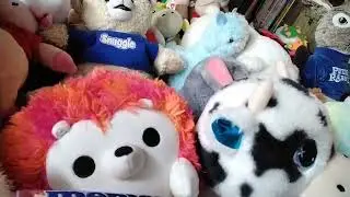 2026 Plush coletion
