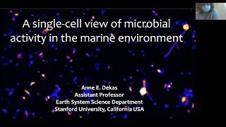 Anne Dekas (Stanford) 