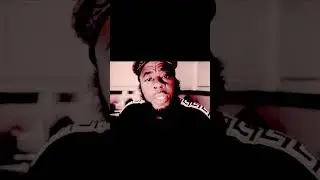DREWBEE EXPOSES GLORILLA &ldquo; IS THE CLOUT WORTH THE COMPROMISE!&rdquo;