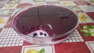 Sobremesa de uva sem leite condensado e sem creme de leite 