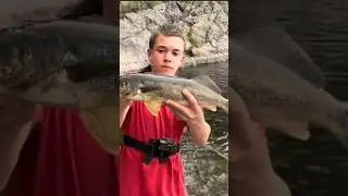 20 inch walleye release. #fishing #fyp #walleye #nature #water