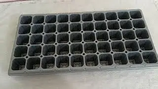 SKU   SEEDTRAY4, Silver Square 50 Cavity Seedling Tray