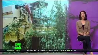 Hemp Revolution Threatens Corporatism [SolutionRevolutionS] Time to Unslave Humanity!