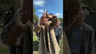 #fun #funny #funnyshorts #funnyvideo #funnyvideos #shorts #viral #alien