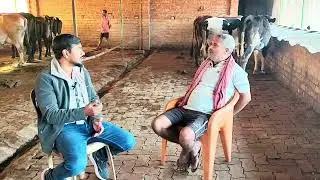 Gaay Palan Kaise Kare🐄 ? Income, Disease, Feed, Marketing । Dairy Farm Business plan । Cow farming 