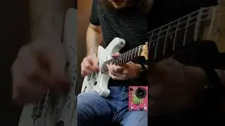 Pink Floyd - Time Guitar Solo - Walrus Audio Melee