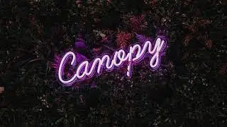 Canopy - Beautiful & Relaxing Piano｜Mr Yohan