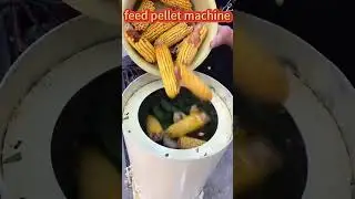 Powerful Feed Pellet Mill for Livestock & Poultry
