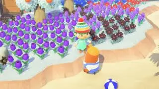 Animal Crossing New Horizons - Meet Resetti
