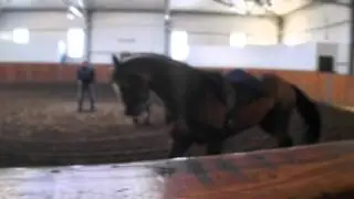 DSCF4325