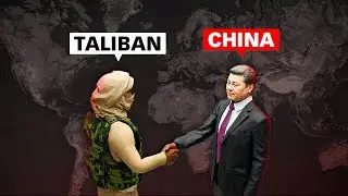 The Taliban's Plan to Control Global Trade in Hindi #taliban #globaltrade #worldpolitics