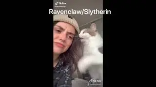 Tiktok as Hogwarts houses cause if you're gay than you're gay