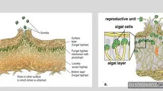 Biology Part-1 Lecture 06 | Video 1/1 | Superior Pattoki