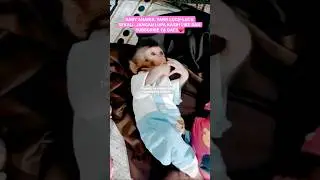 Cute baby monkey #monkey #viral #fyp #pet