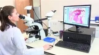 Gıda denetim laboratuvarlarında, güvensiz gıdalara geçit verilmiyor
