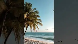 Tropical Beach Relaxation &ndash; Palm Trees, Ocean Waves & Gentle Bird Sounds