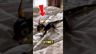 Пять вымерших животных, которые превратили бы реальную жизнь в КОШМАР!