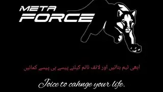 How to add SFC coin in Meta Force.
