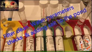 Filter clean  Water parameters checks  & adding salt to the pond