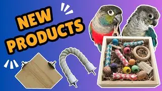 Parrot Platform Perches and DIY Foraging Kit - New in at Northern Parrots | BirdNerdSophie AD