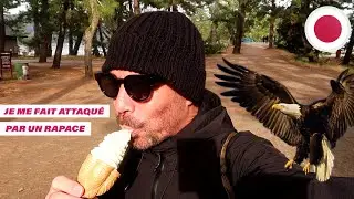 JE ME SUIS FAIT AGRESSÉ AU JAPON ! 🇯🇵 (AMANOHASHIDATE) #69