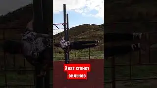 Что будет если висеть на турнике каждый день!? 🔥#shorts