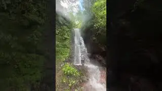 RAINFOREST #waterfall #adventure #jungle #water #cascades