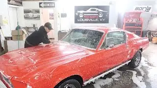 Chemical Guys Detail 67 Mustang