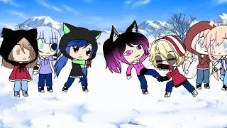 If I was in miraculous ladybug Christmas special
