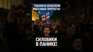 ⚡️ Массовые протесты в Тбилиси &mdash; митингующие штурмуют дворец!