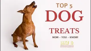 Top 5 Dog Treats  Pawsome Delights! Now-You-Know!