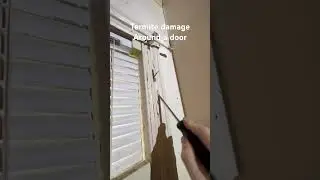 Termite damage around a door frame in Eastern NC #termiteinspection #termites #homeinspector