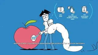 Produkcja ekologiczna PL/ EN