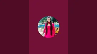 daily live stream