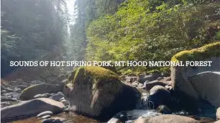 Mt Hood National forest sounds