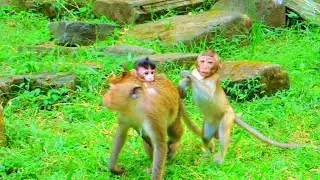 A teenage is chasing&rsquo;s request to play with newborn baby. @monkeyscorner