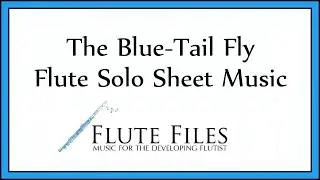 The Blue Tail Fly - Flute Solo