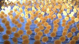 Dancing Solar Flowers Video - Tourcoing - Sustainable Development Art