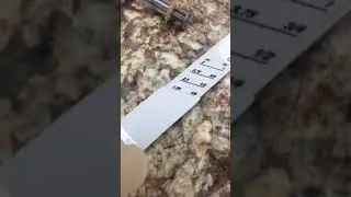 Crop feeding a cockatiel