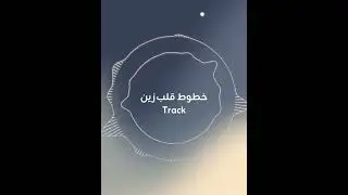 اللوحة الثانية خطوط قلب زين - في زين الزمان
