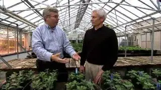 State of Minds:  Flowers, WWII Degrees, CA Delta, Loft