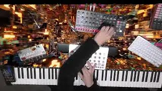 TRIOX 2 ELEKTRON MODEL SAMPLES & KORG VOLCA BASS & UNO SYNTH PRO X SET SAMULEE SECUENCIES
