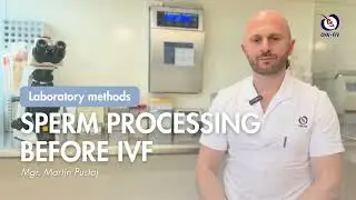 Laboratory methods sperm processing before IVF